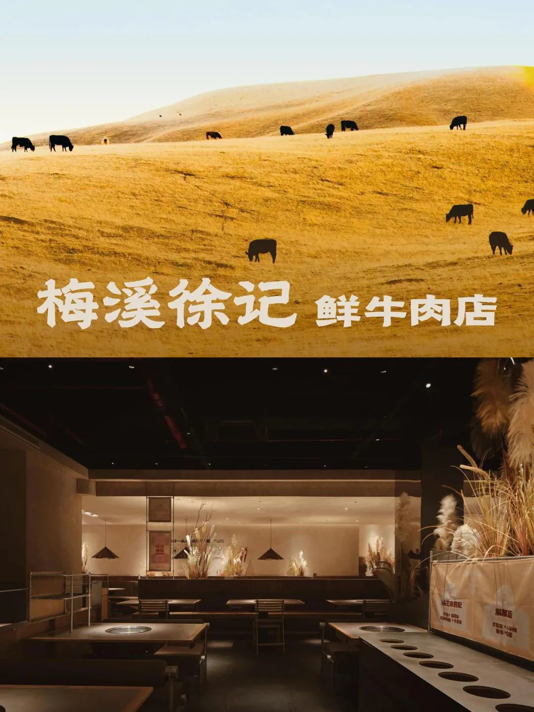 徐记·鲜牛肉潮汕火锅店全案装建设计规划(图1)