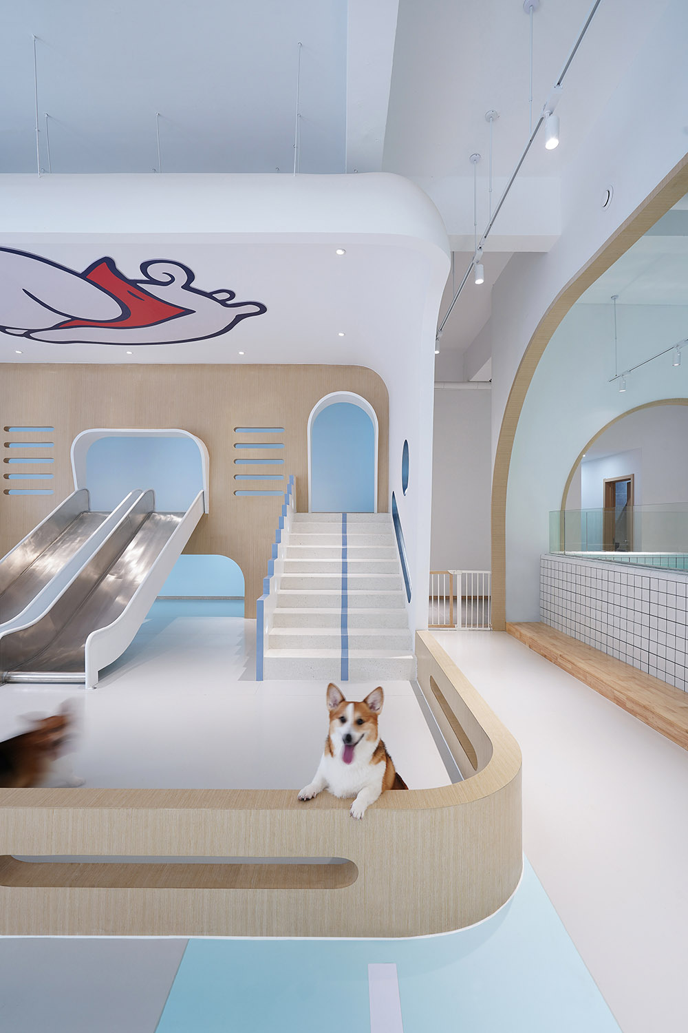 宠物店装建公司—狗狗派萌宠中心设计案例分享(图3)