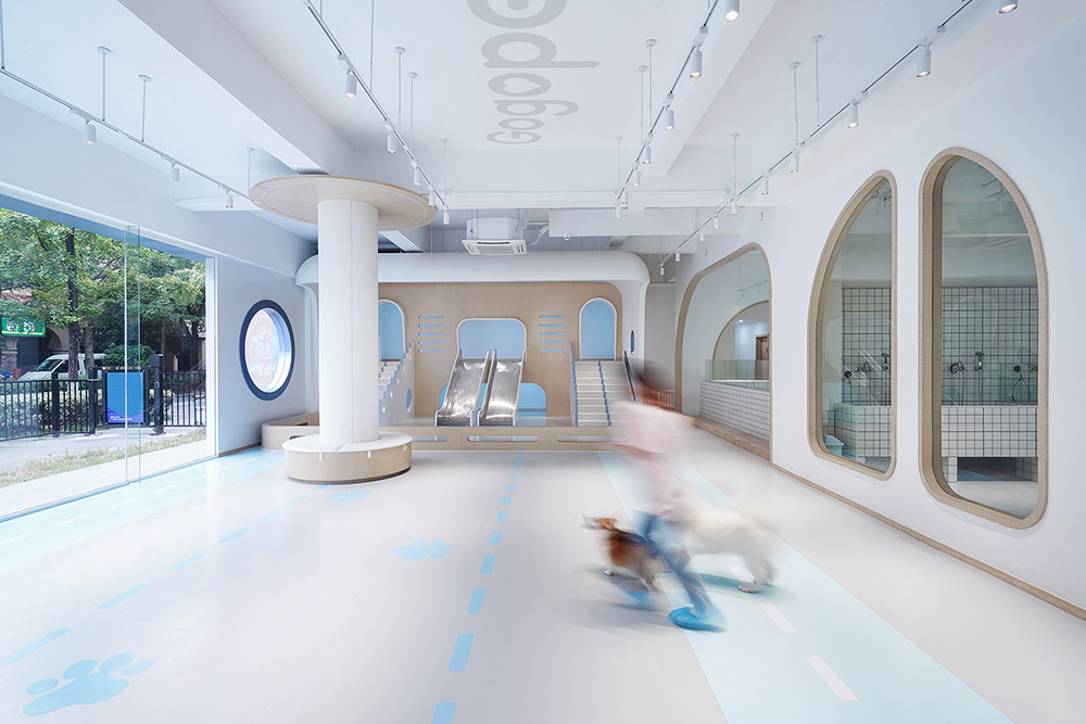 宠物店装建公司—狗狗派萌宠中心设计案例分享(图5)
